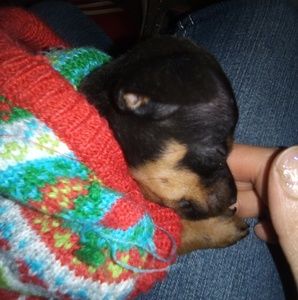 Meet your Posher, Heather